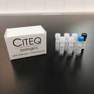 ELISA Kit HDM