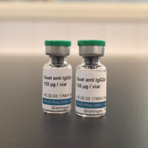 IgG2a mouse antibody